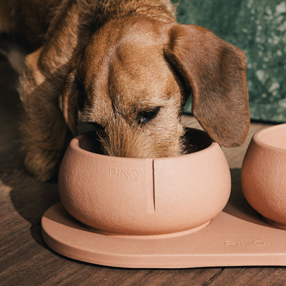 Voerbakplateau voor honden – productweergave 31