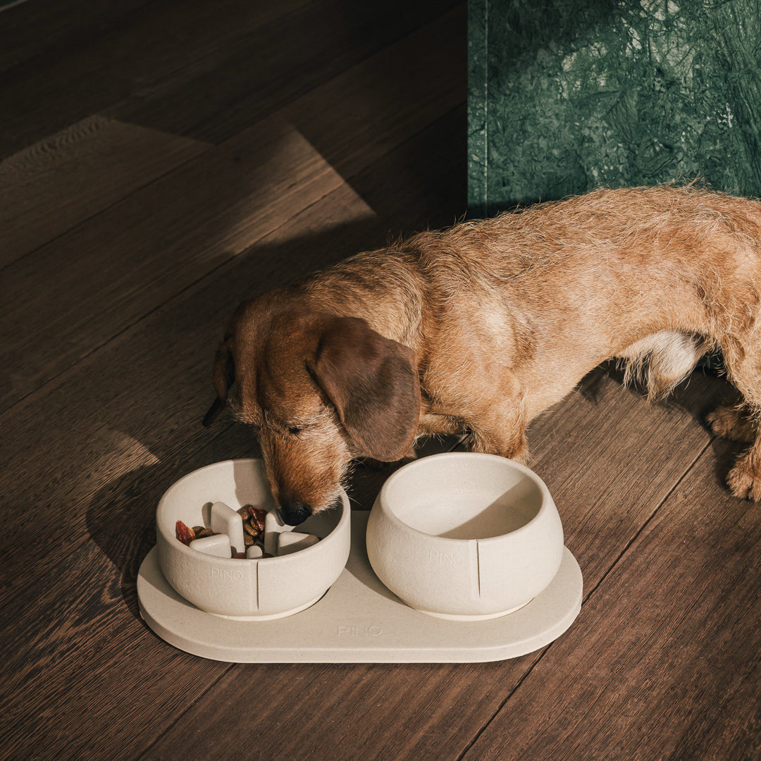 Voerbakplateau voor honden – productweergave 29