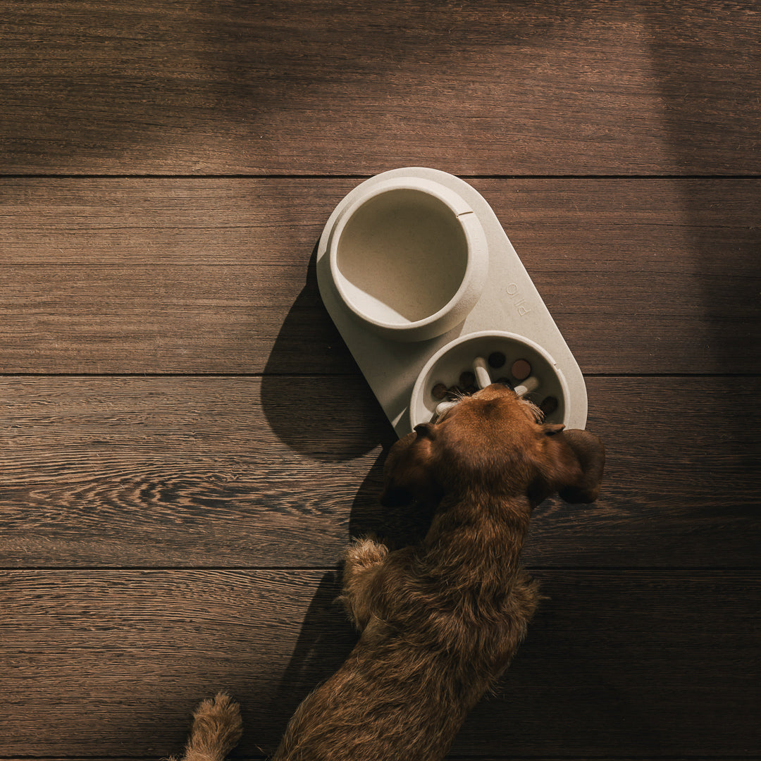 Voerbakplateau voor honden – productweergave 4