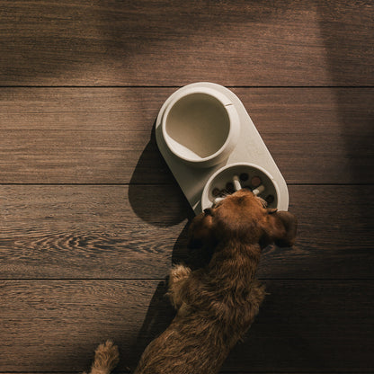 Voerbakplateau voor honden – productweergave 4