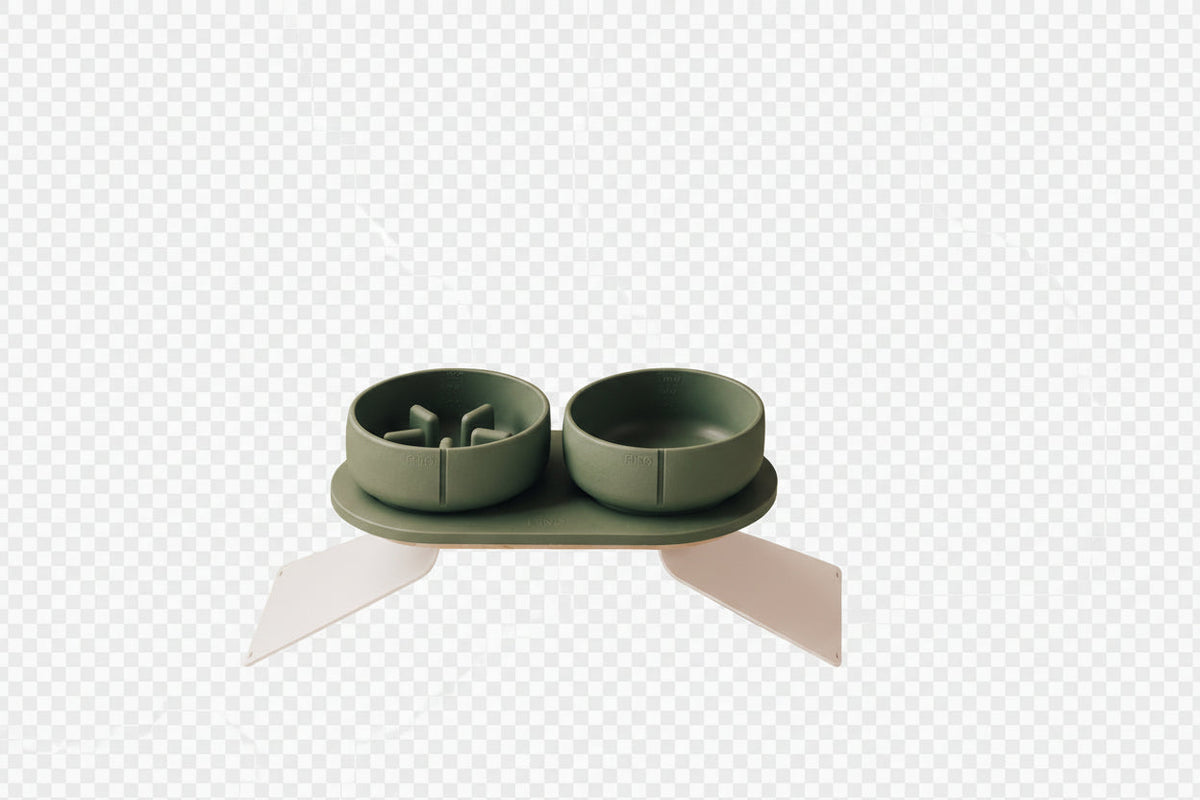 Perfect Posture set voor honden – groene voerbakken op een standaard