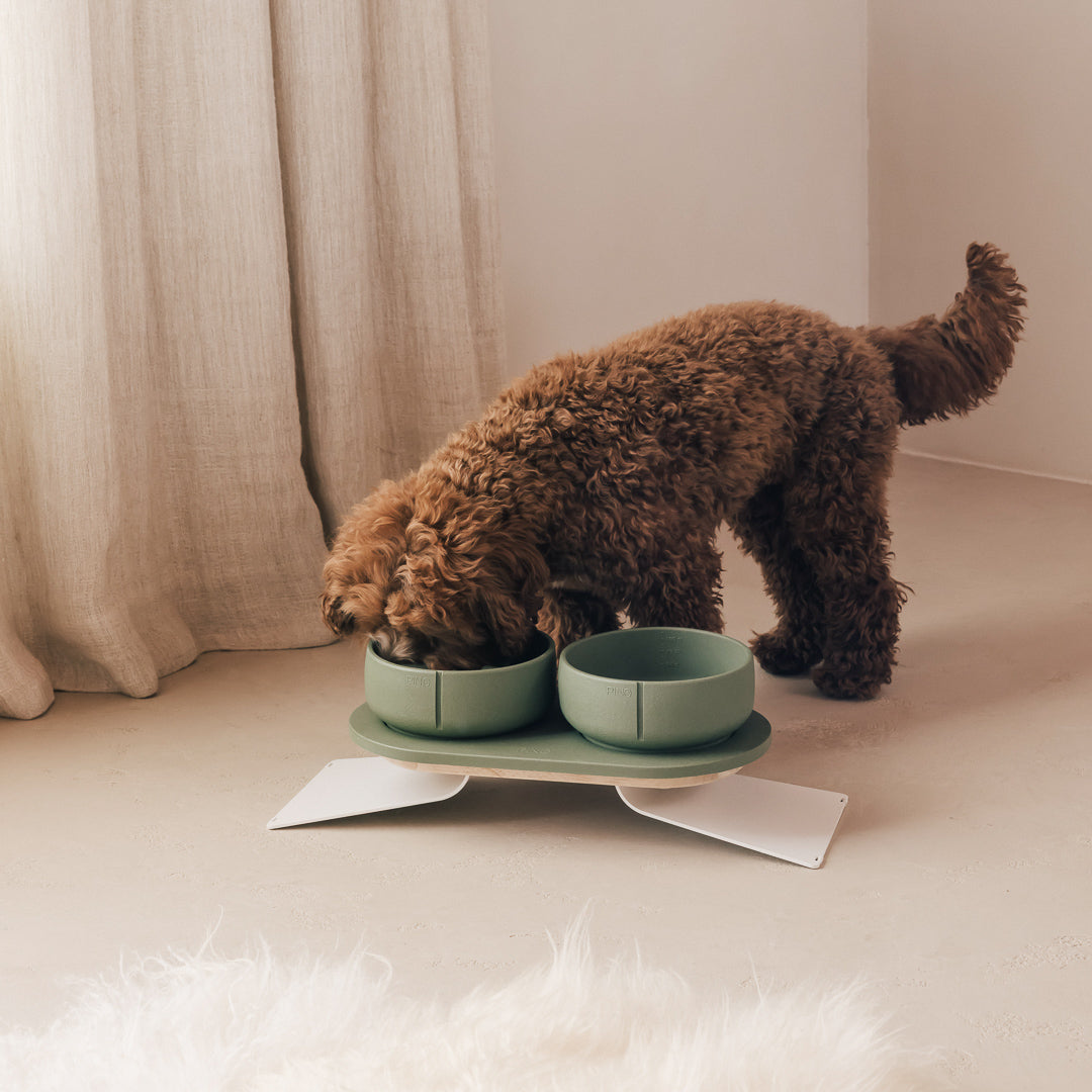Perfect Posture set voor honden – productweergave 20