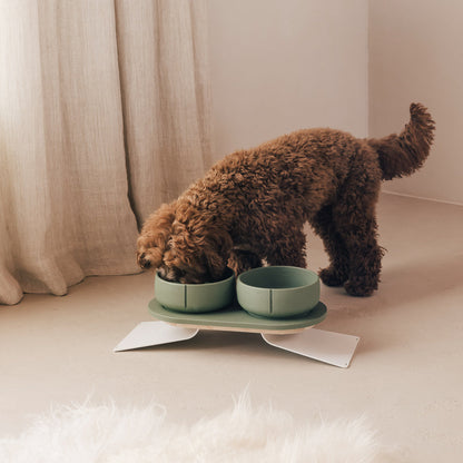 Perfect Posture set voor honden – productweergave 20