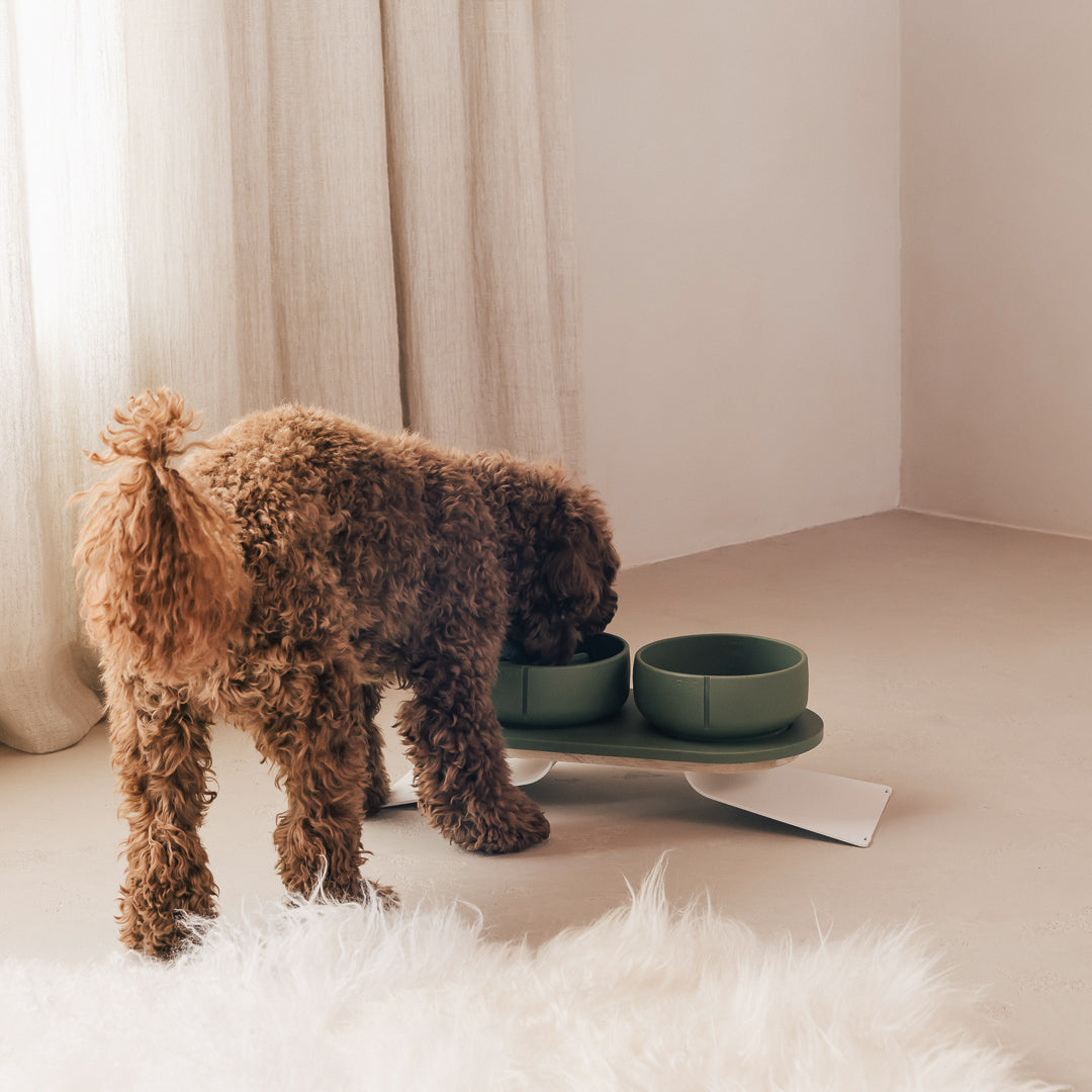Perfect Posture set voor honden – productweergave 6