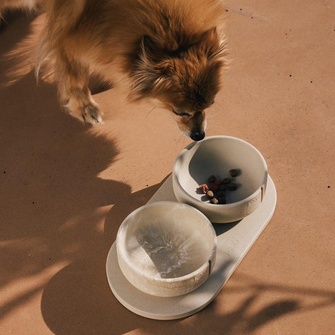 Voerbakplateau voor honden – productweergave 32