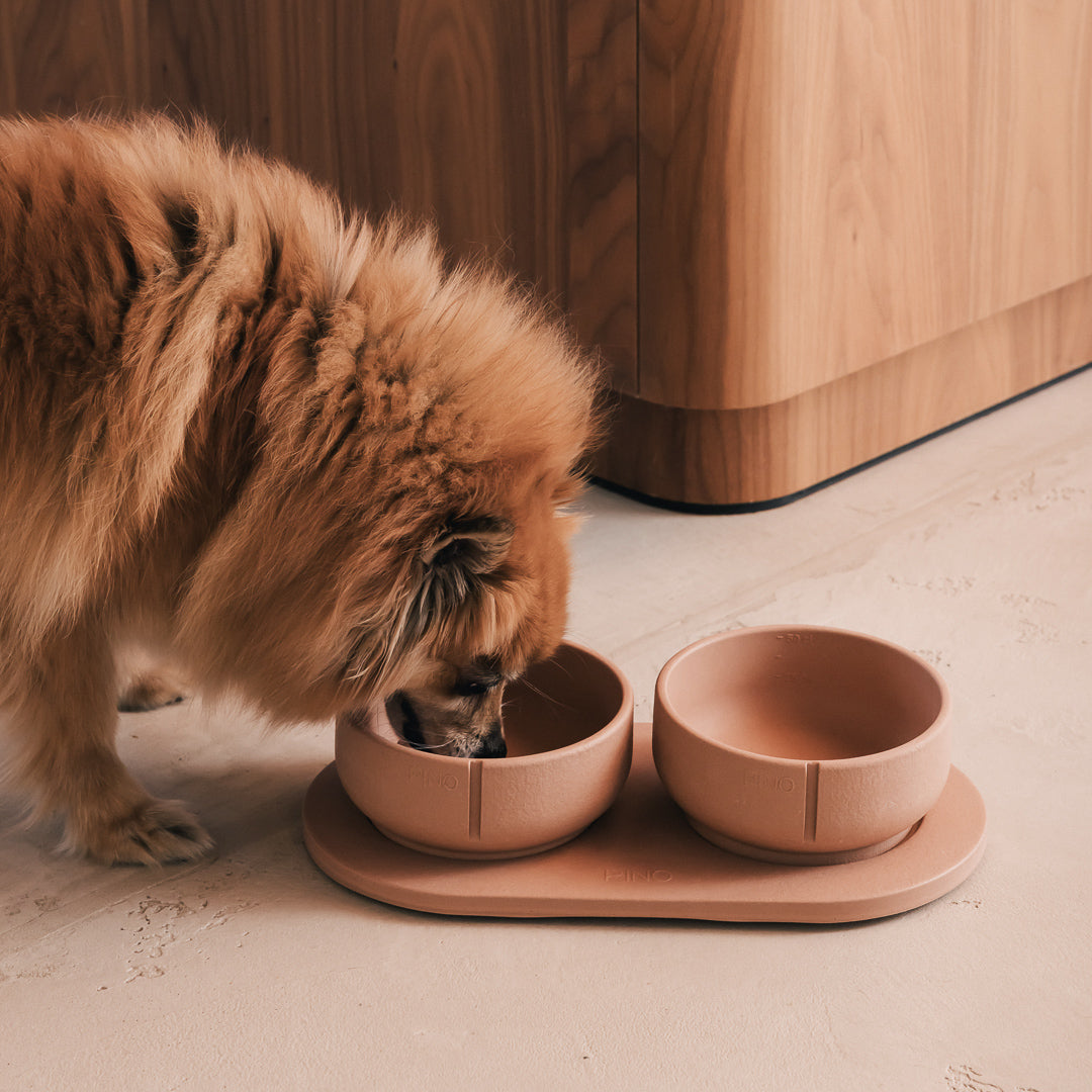 Voerbakplateau voor honden – productweergave 34