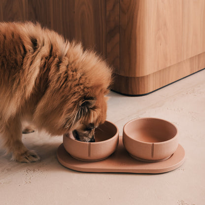 Voerbakplateau voor honden – productweergave 34