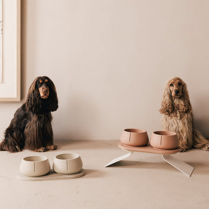 Perfect Posture set voor honden – productweergave 23