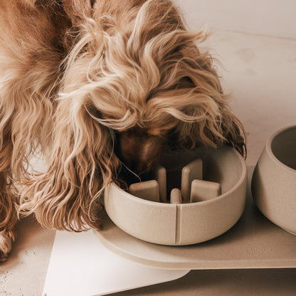 Perfect Posture set voor honden – productweergave 16
