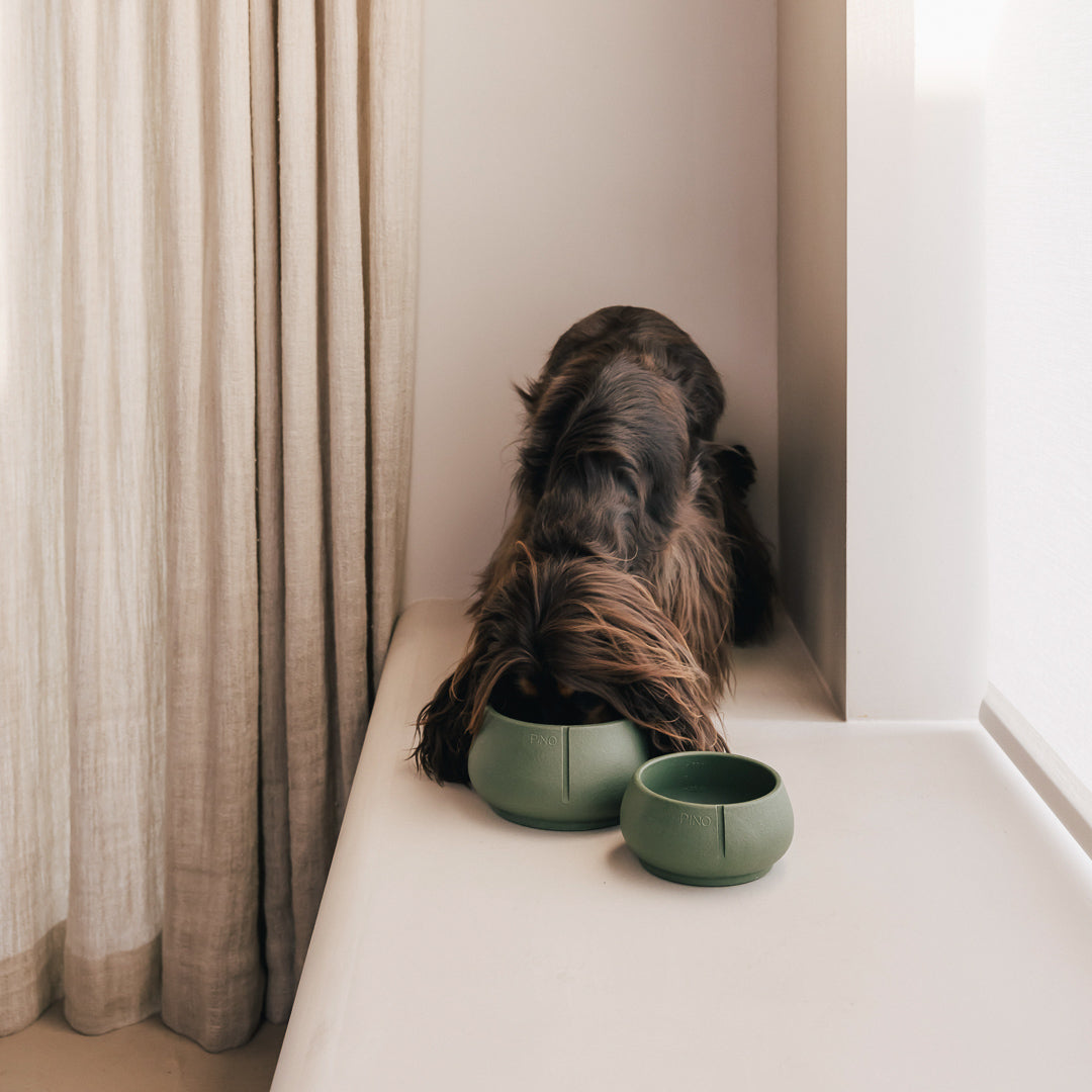 Long Ears voerbak – productweergave 18