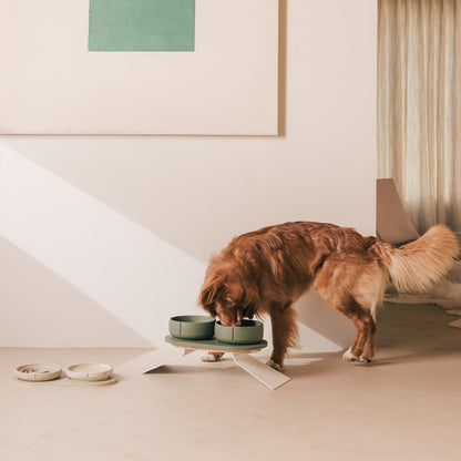 Perfect Posture set voor honden – productweergave 29