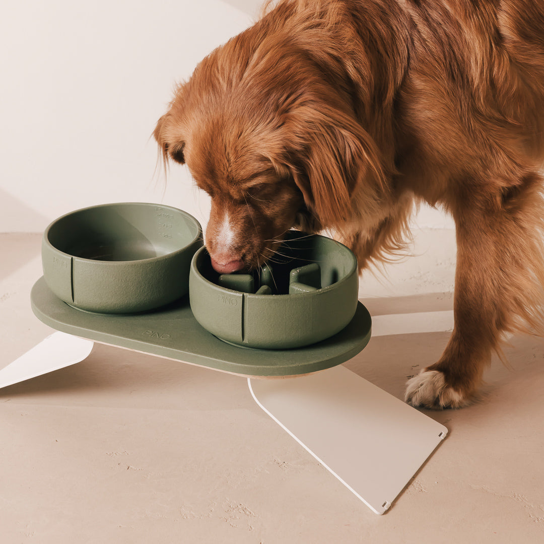 Voerbakplateau voor honden – productweergave 28