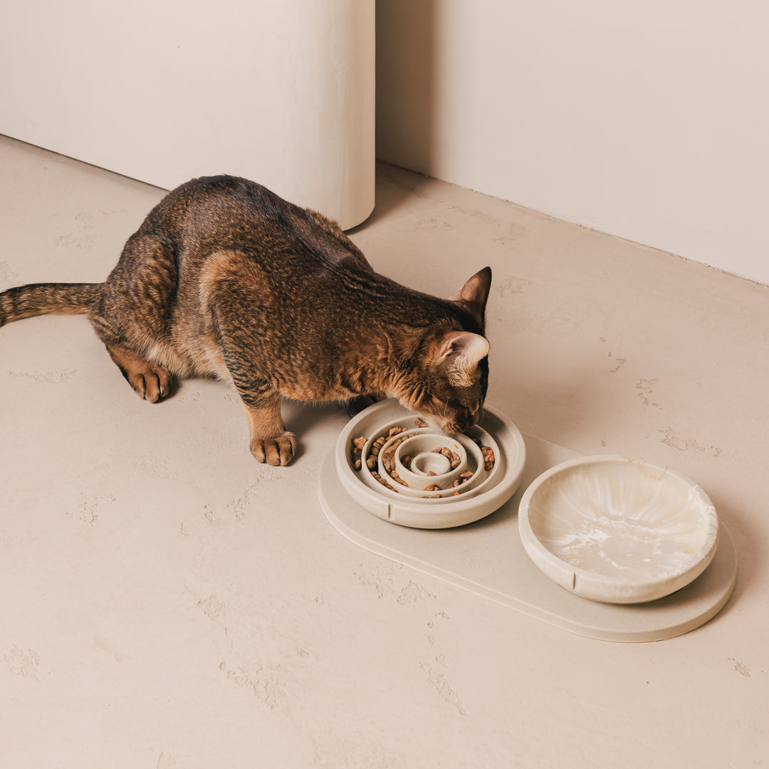 Voerbakplateau voor katten