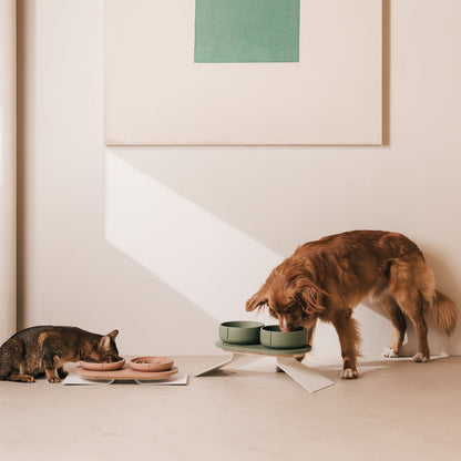 Perfect Posture set voor honden – productweergave 3