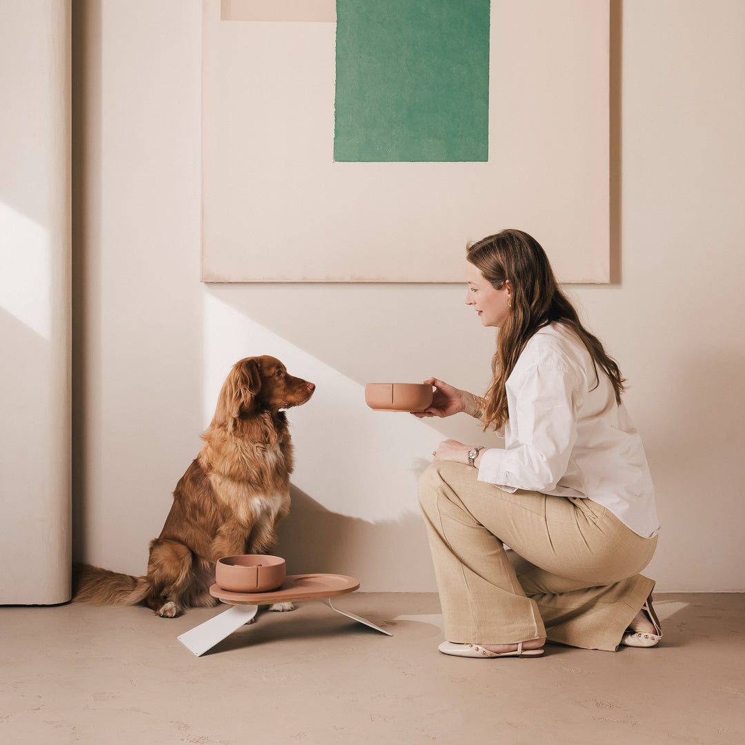Perfect Posture set voor honden – productweergave 22