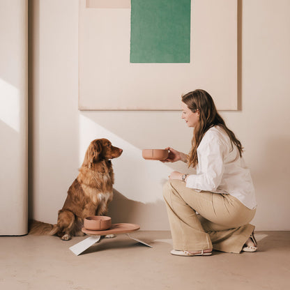 Perfect Posture set voor honden – productweergave 22