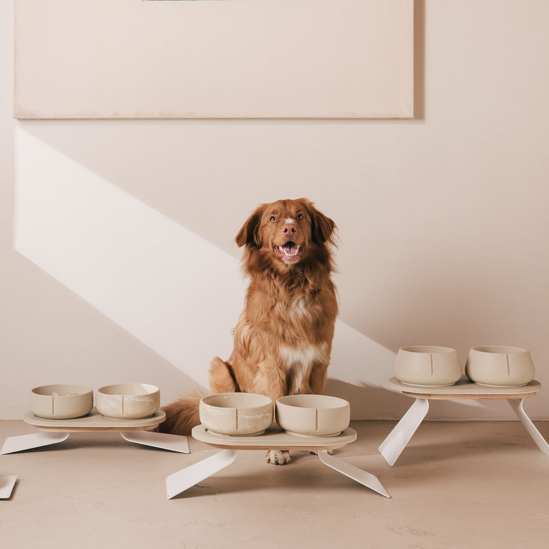 Perfect Posture set voor honden – productweergave 5