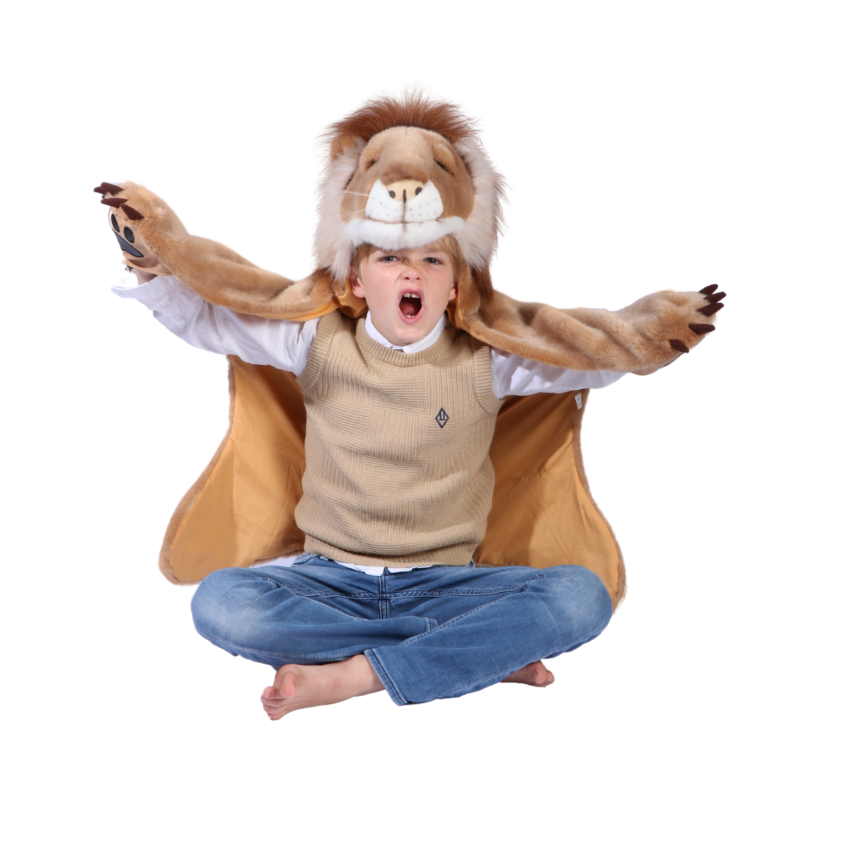 Child's Lion Costume