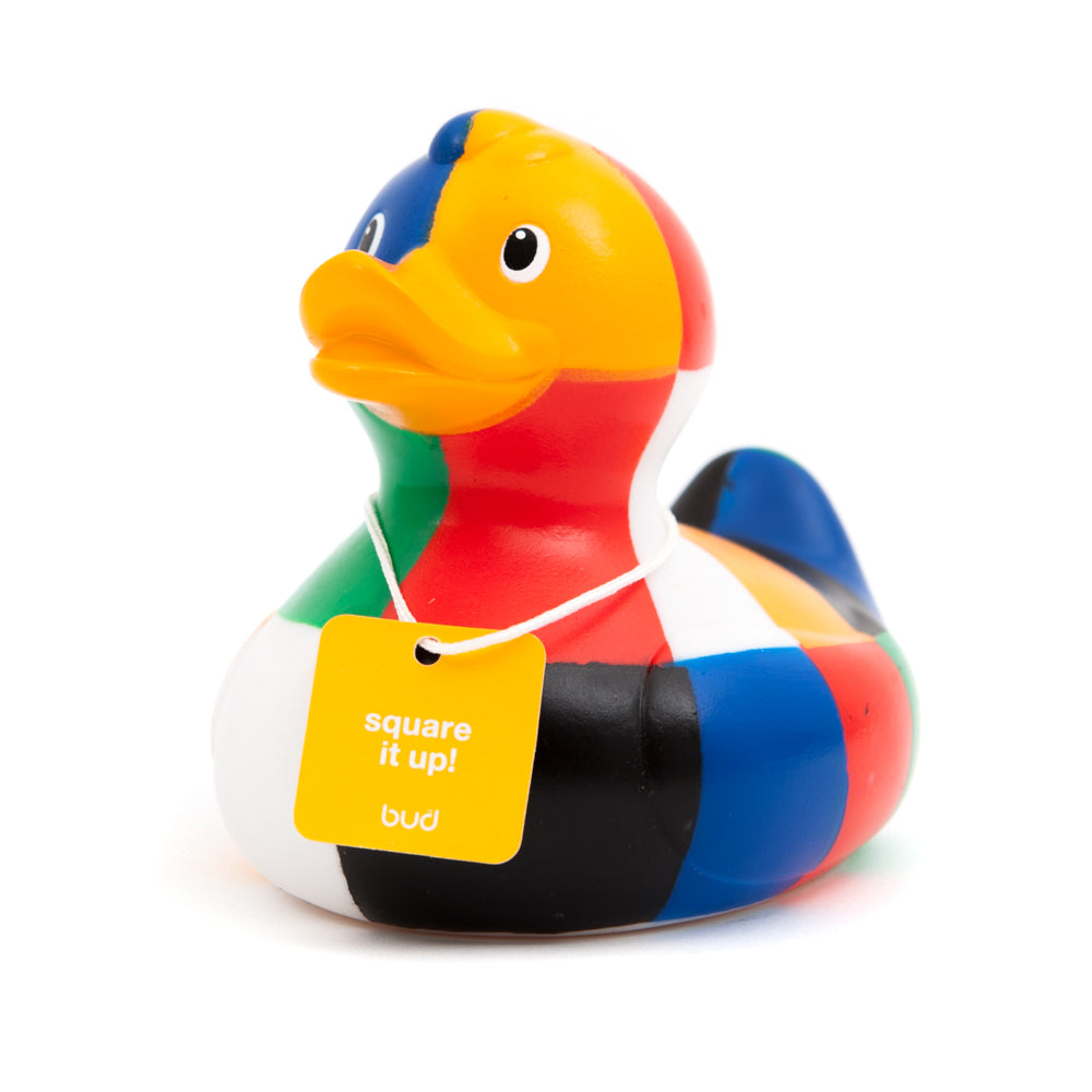 Canard Cubist