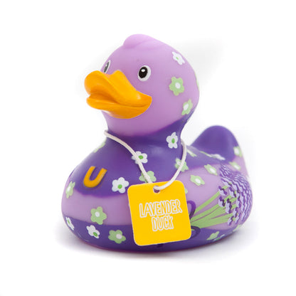 Lavender Duck