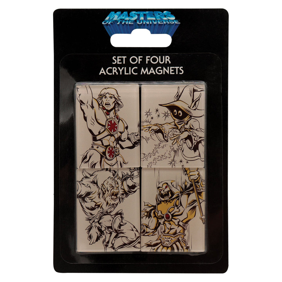 Set of 4 Masters of the Universe Magnets