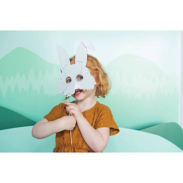Disguise