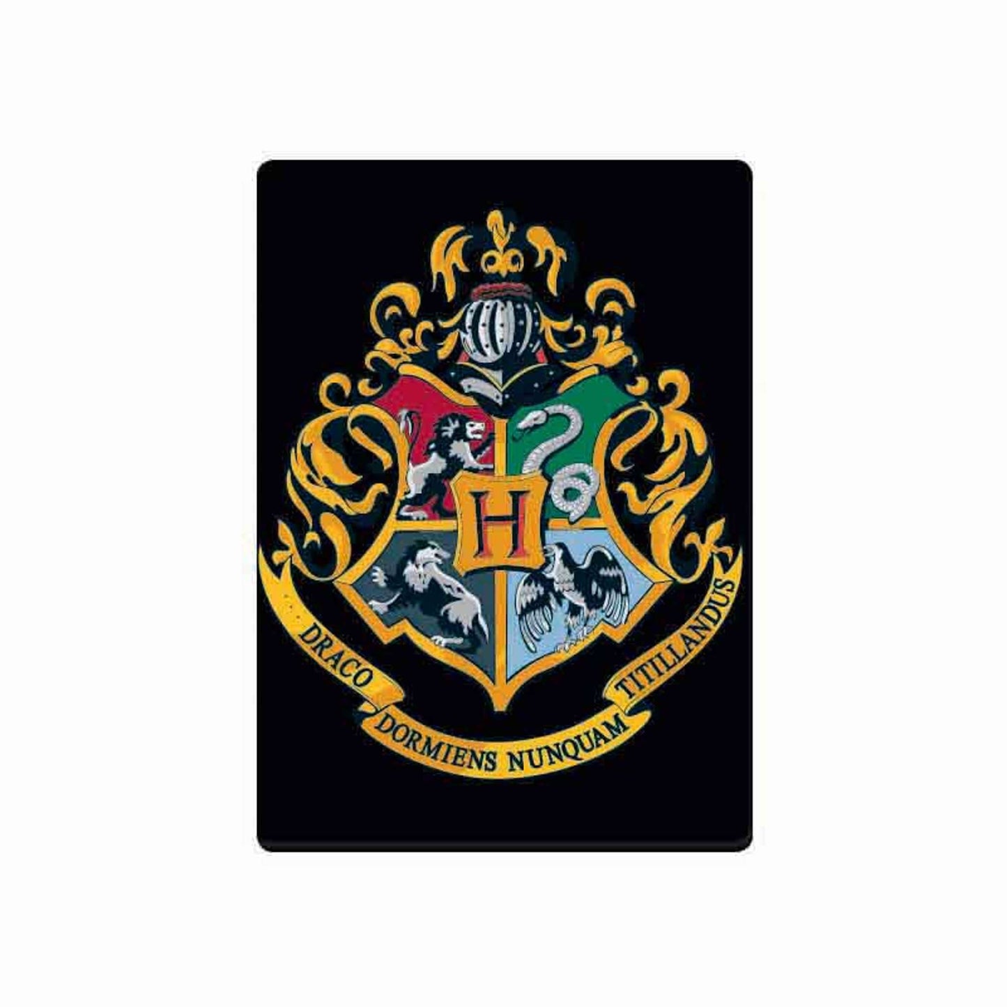 Harry Potter Hogwarts Magnet