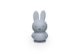 Miffy Konijn Spaarpot Warme Editie S 