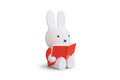 Miffy Rabbit Money Box Book