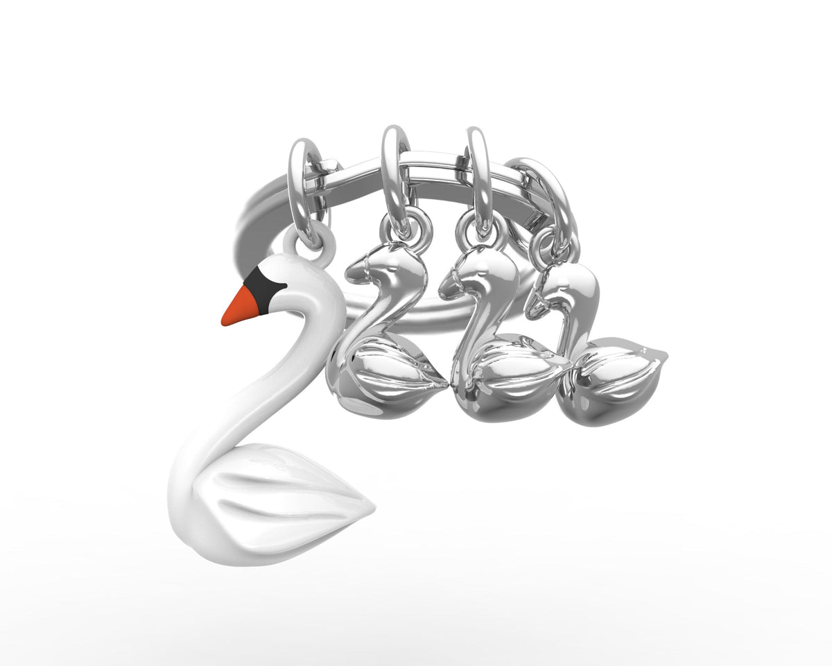 Swan key door