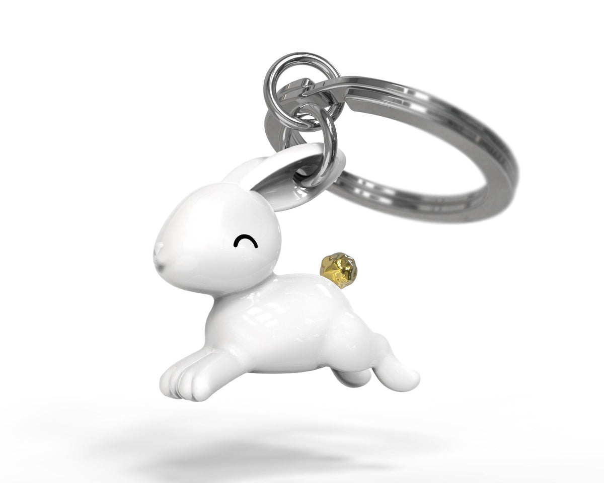 Happy rabbit key door