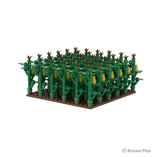 BRIXIES Plus Cornfield