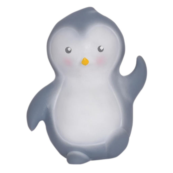 Mijn eerste Arctische dier: een pinguïn