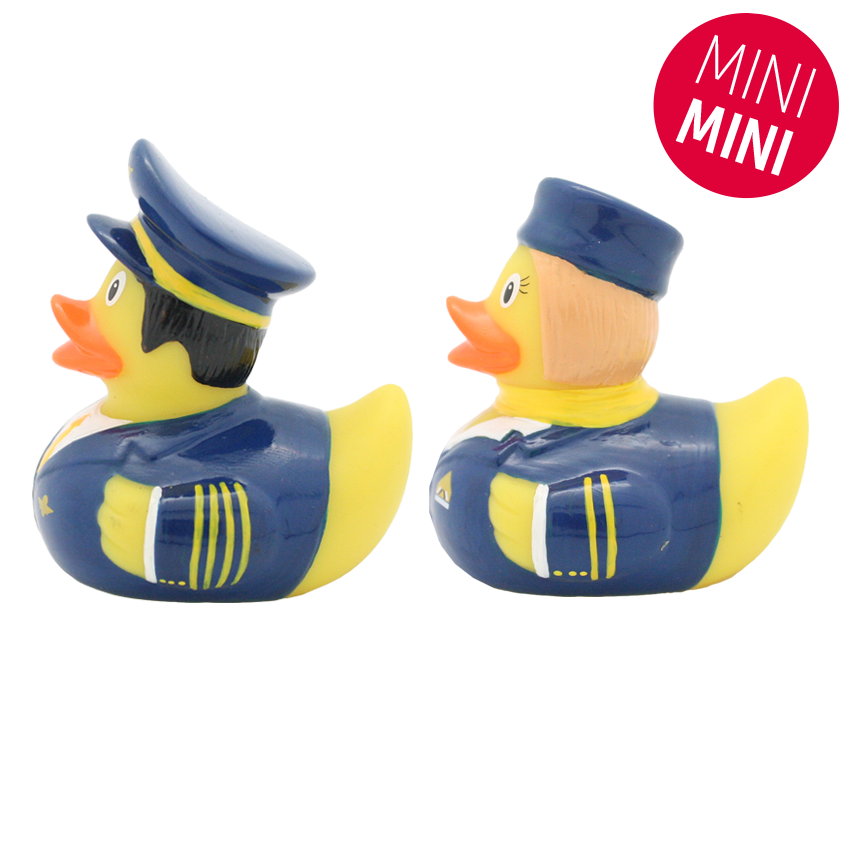 Mini Canards Compagnie Aérienne