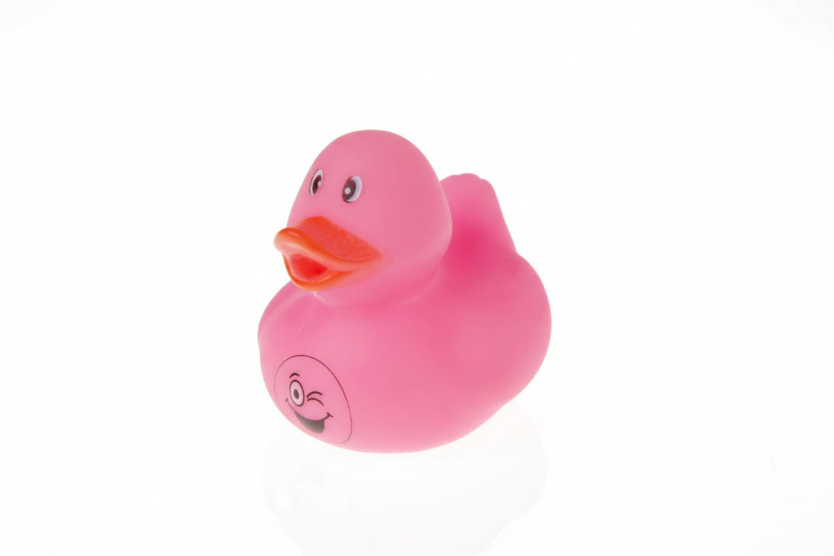 Mini Ducks Emotions