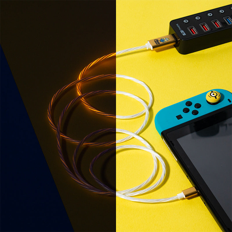 minions usb c cable