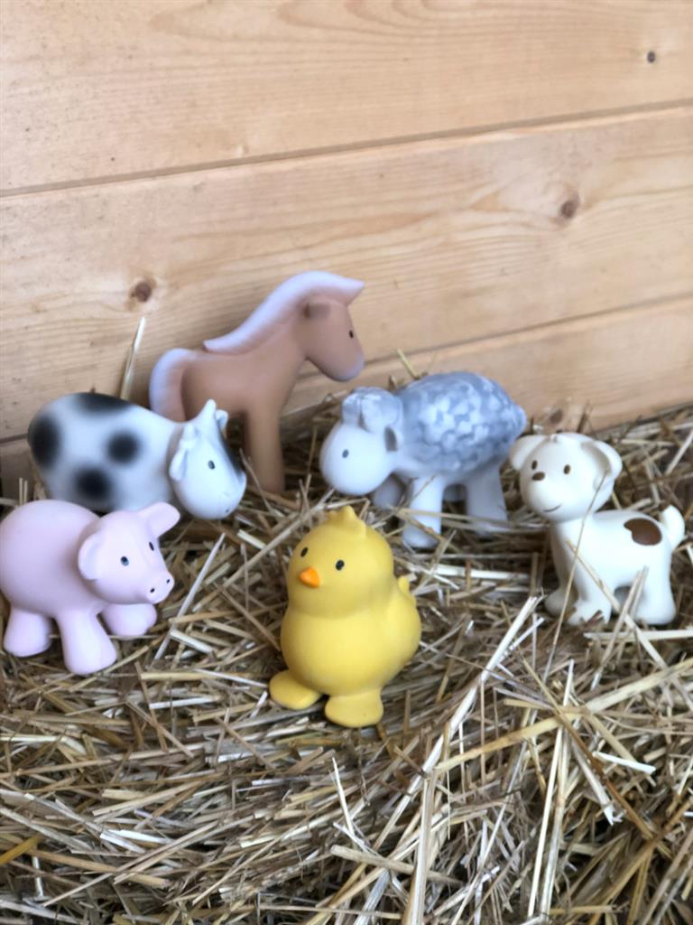 My first sheep farm animal