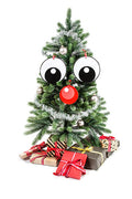 Meneer Boom