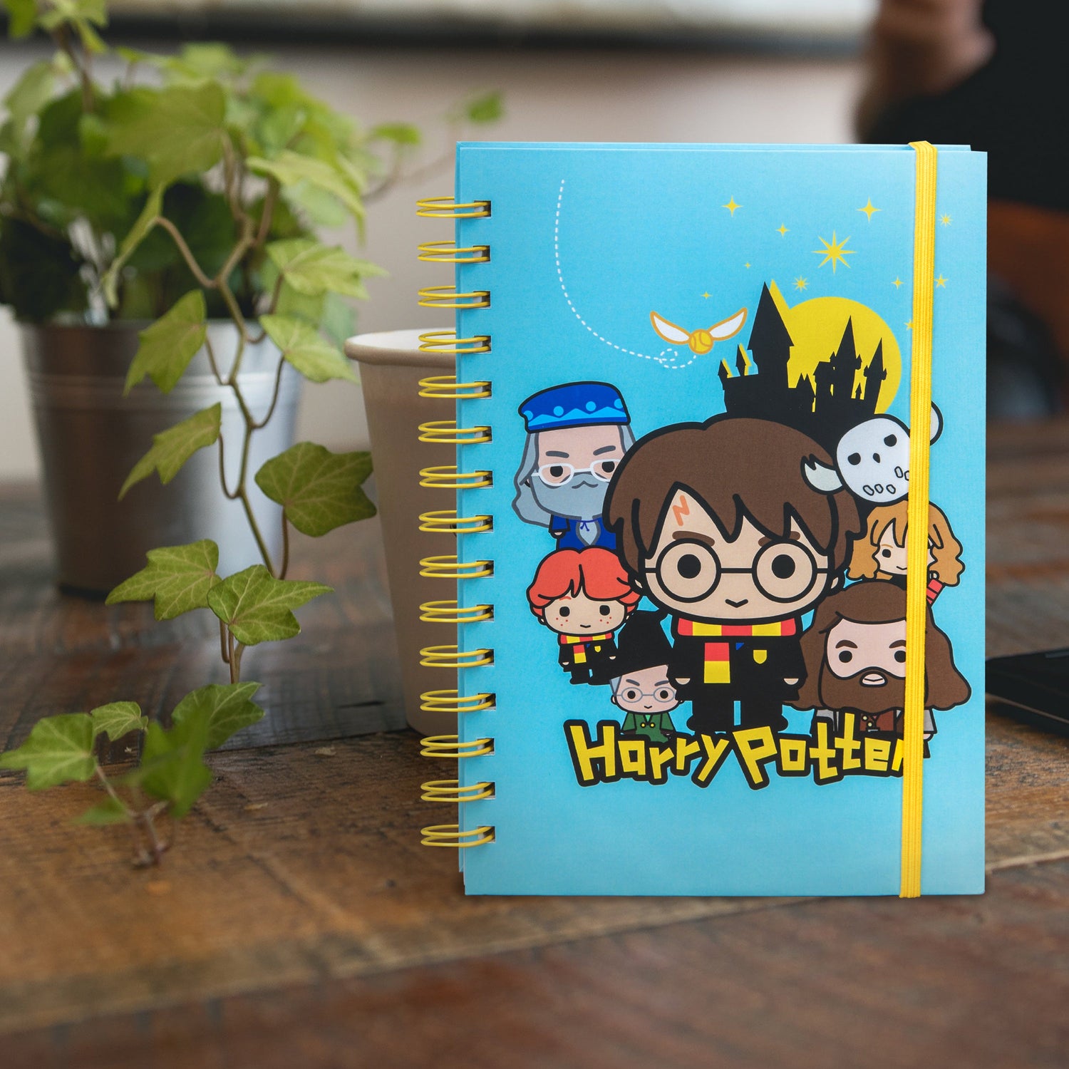 Carnets Harry Potter