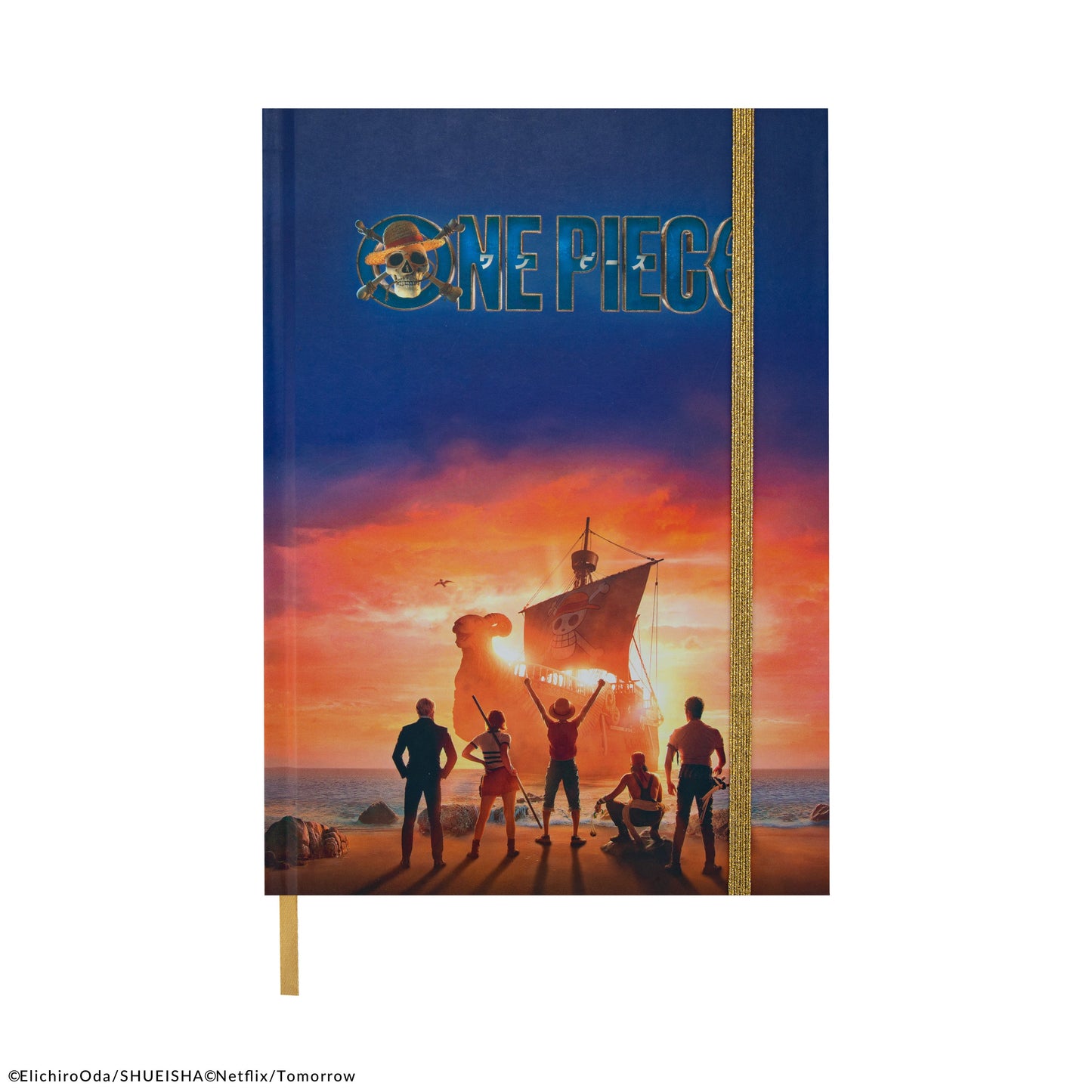 Vogue Merry at Dusk Notebook