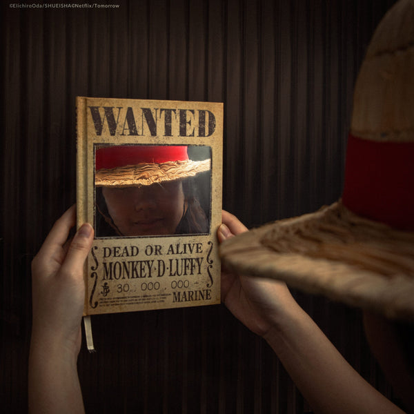 Notebook Wanted Mirror