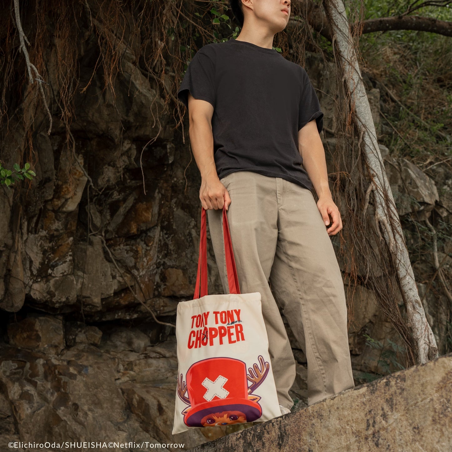 Chopper's Magical Fruit Tote Bag