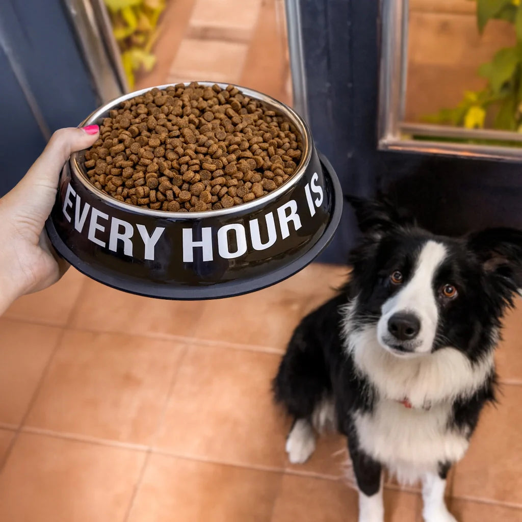 Gamelle et Abreuvoir « Happy hour » – Fisura – vue 4