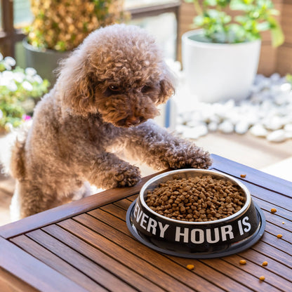 Gamelle et Abreuvoir « Happy hour » – Fisura – vue 6