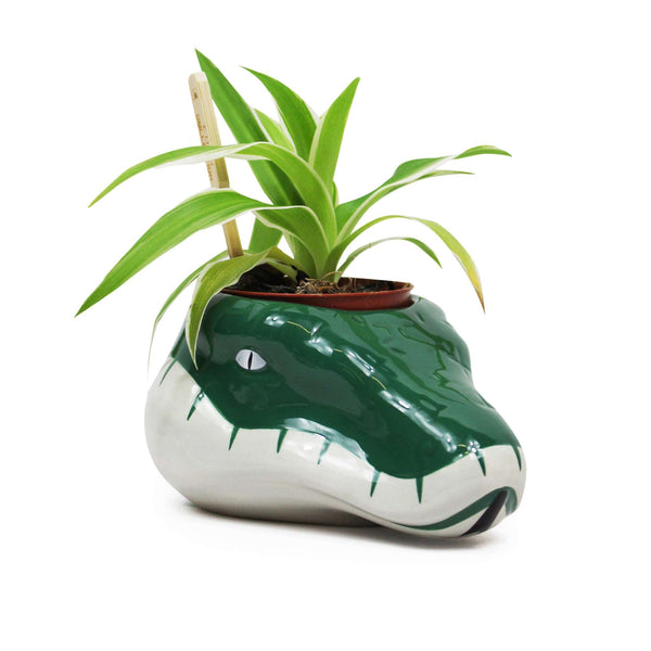Pot de fleurs Harry Potter - Serpentard