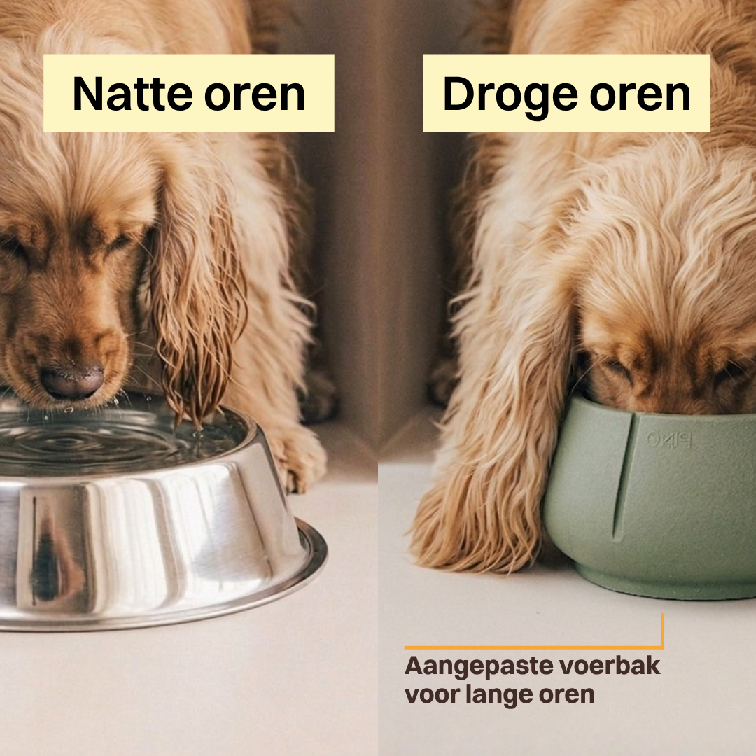 Long Ears voerbak – hoofdweergave