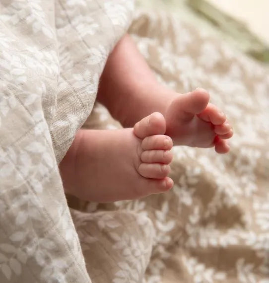 Pack of 2 bio cotton swaddles taupe leaf
