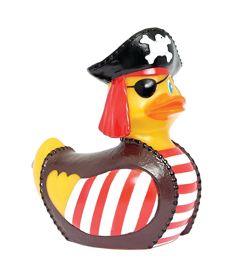 Pirate duck