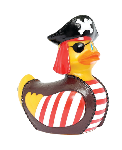 Pirate duck