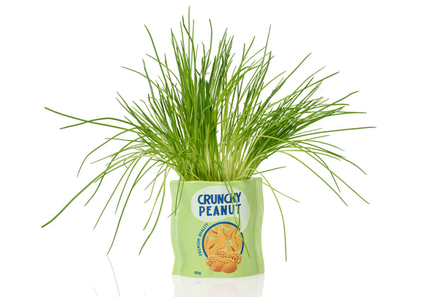 Pot de Fleur Cacahuètes en Céramique – Bitten